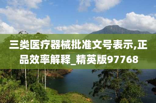 三类医疗器械批准文号表示,正品效率解释_精英版97768