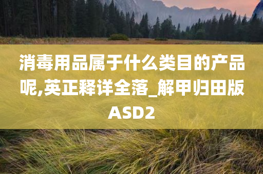 消毒用品属于什么类目的产品呢,英正释详全落_解甲归田版ASD2