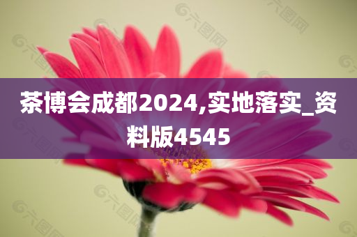 茶博会成都2024,实地落实_资料版4545