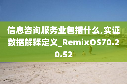 信息咨询服务业包括什么,实证数据解释定义_RemixOS70.20.52