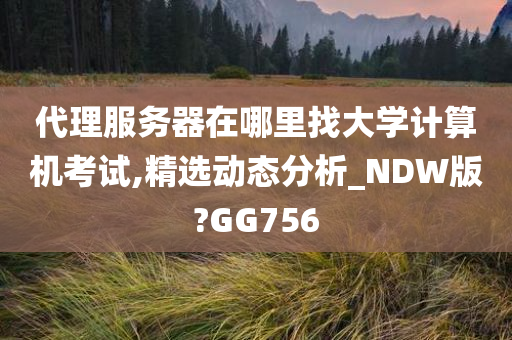 代理服务器在哪里找大学计算机考试,精选动态分析_NDW版?GG756