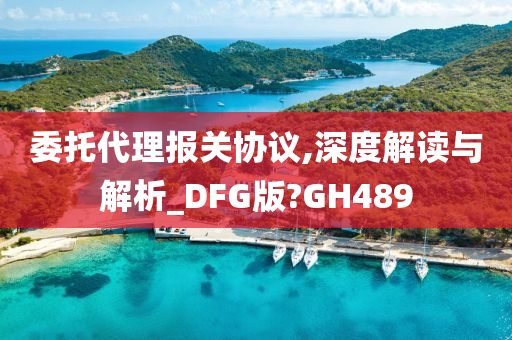 委托代理报关协议,深度解读与解析_DFG版?GH489