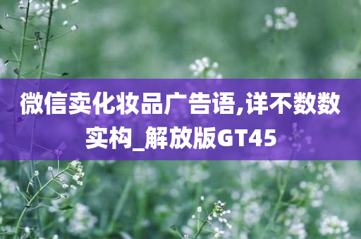 微信卖化妆品广告语,详不数数实构_解放版GT45