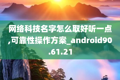 网络科技名字怎么取好听一点,可靠性操作方案_android90.61.21