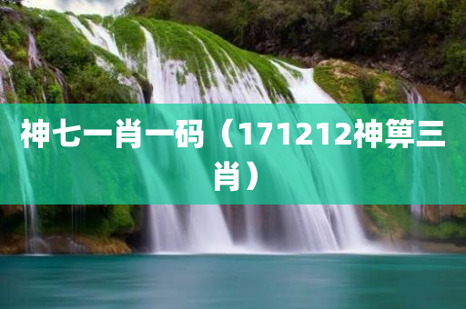 神七一肖一码（171212神箅三肖）