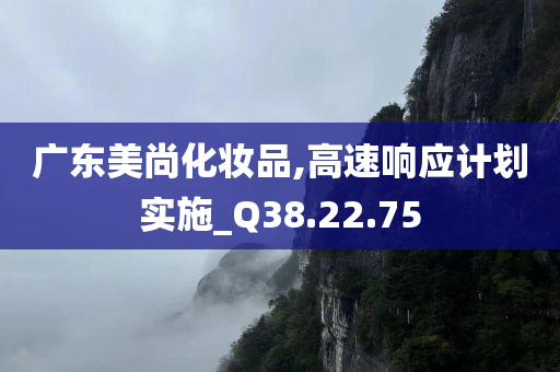 广东美尚化妆品,高速响应计划实施_Q38.22.75