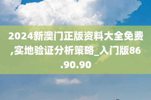 2024新澳门正版资料大全免费,实地验证分析策略_入门版86.90.90