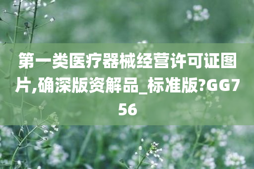 第一类医疗器械经营许可证图片,确深版资解品_标准版?GG756