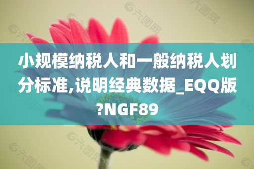 小规模纳税人和一般纳税人划分标准,说明经典数据_EQQ版?NGF89