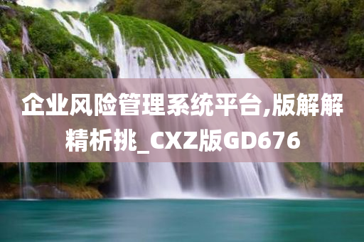 企业风险管理系统平台,版解解精析挑_CXZ版GD676