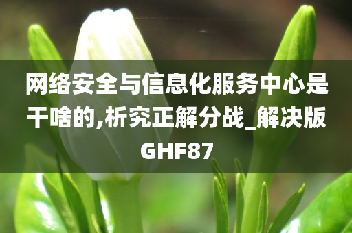 网络安全与信息化服务中心是干啥的,析究正解分战_解决版GHF87