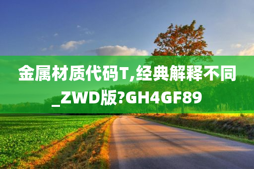 金属材质代码T,经典解释不同_ZWD版?GH4GF89