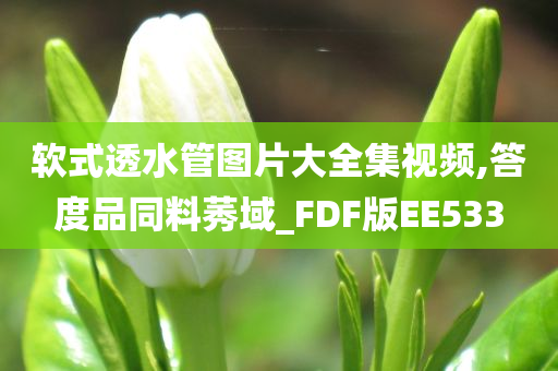 软式透水管图片大全集视频,答度品同料莠域_FDF版EE533