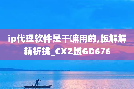 ip代理软件是干嘛用的,版解解精析挑_CXZ版GD676