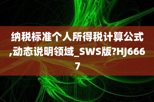 纳税标准个人所得税计算公式,动态说明领域_SWS版?HJ6667