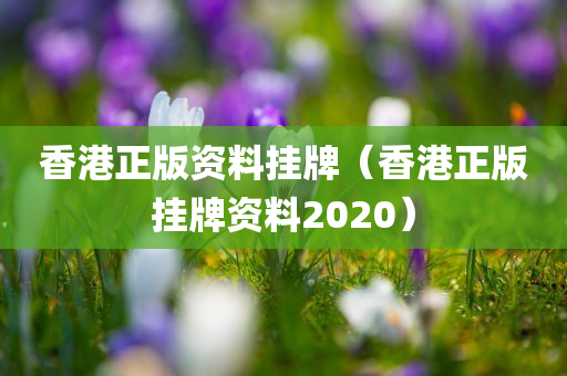 香港正版资料挂牌（香港正版挂牌资料2020）