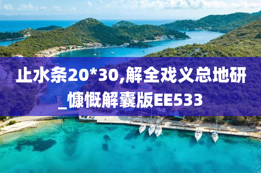 止水条20*30,解全戏义总地研_慷慨解囊版EE533