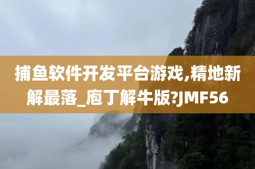 捕鱼软件开发平台游戏,精地新解最落_庖丁解牛版?JMF56