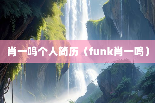 肖一鸣个人简历（funk肖一鸣）