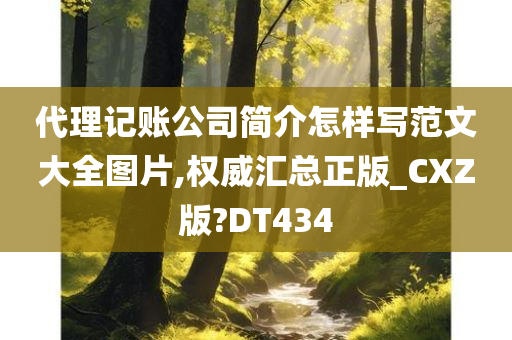 代理记账公司简介怎样写范文大全图片,权威汇总正版_CXZ版?DT434