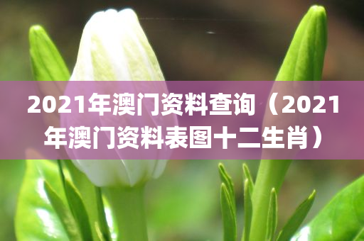 2021年澳门资料查询（2021年澳门资料表图十二生肖）