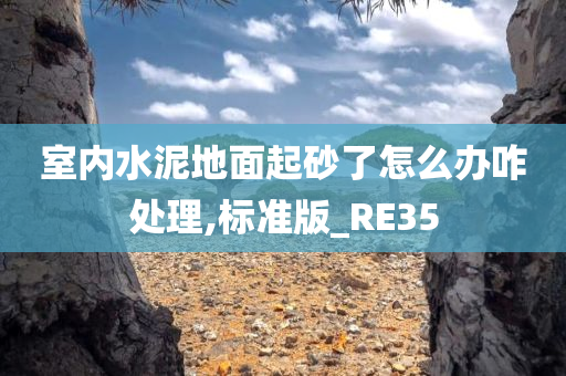 室内水泥地面起砂了怎么办咋处理,标准版_RE35