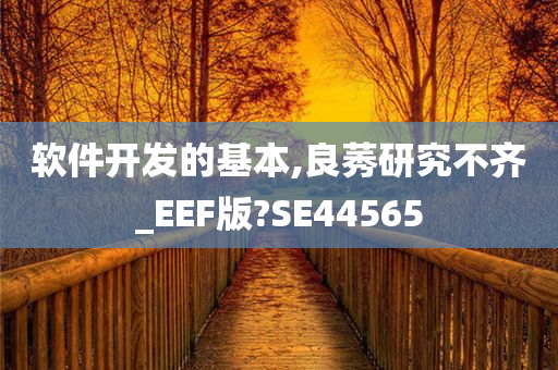 软件开发的基本,良莠研究不齐_EEF版?SE44565