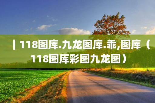 ｜118图库.九龙图库.乖,图库（118图库彩图九龙图）