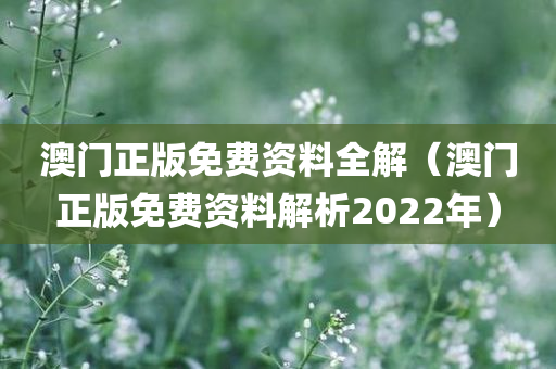 澳门正版免费资料全解（澳门正版免费资料解析2022年）