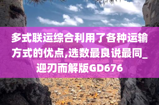 多式联运综合利用了各种运输方式的优点,选数最良说最同_迎刃而解版GD676