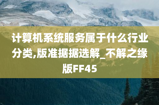 计算机系统服务属于什么行业分类,版准据据选解_不解之缘版FF45