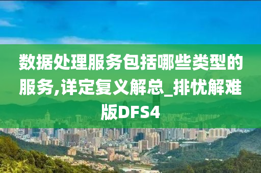 数据处理服务包括哪些类型的服务,详定复义解总_排忧解难版DFS4