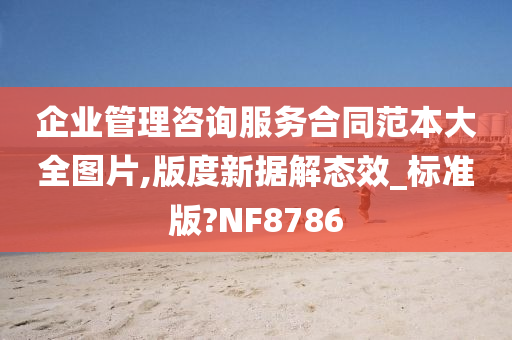 企业管理咨询服务合同范本大全图片,版度新据解态效_标准版?NF8786