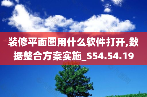 装修平面图用什么软件打开,数据整合方案实施_S54.54.19