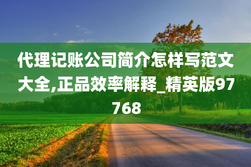 代理记账公司简介怎样写范文大全,正品效率解释_精英版97768