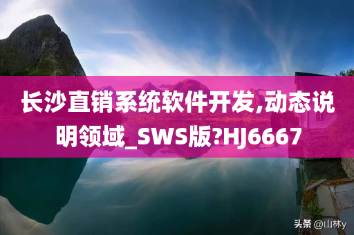 长沙直销系统软件开发,动态说明领域_SWS版?HJ6667