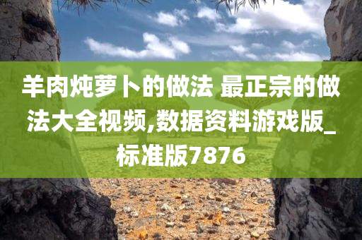 羊肉炖萝卜的做法 最正宗的做法大全视频,数据资料游戏版_标准版7876