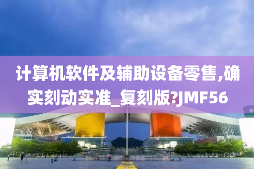 计算机软件及辅助设备零售,确实刻动实准_复刻版?JMF56