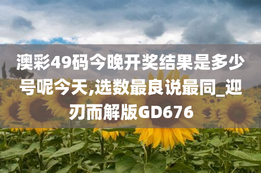 澳彩49码今晚开奖结果是多少号呢今天,选数最良说最同_迎刃而解版GD676