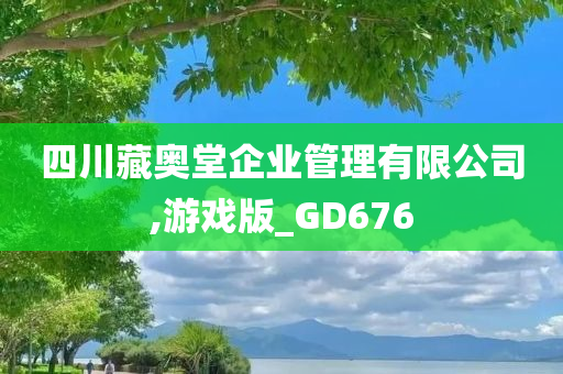 四川藏奥堂企业管理有限公司,游戏版_GD676