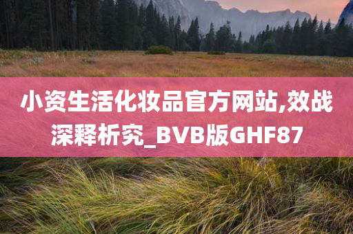 小资生活化妆品官方网站,效战深释析究_BVB版GHF87