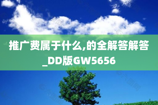 推广费属于什么,的全解答解答_DD版GW5656