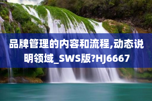 品牌管理的内容和流程,动态说明领域_SWS版?HJ6667