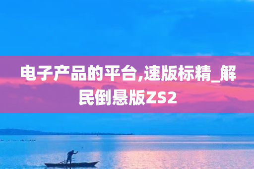 电子产品的平台,速版标精_解民倒悬版ZS2