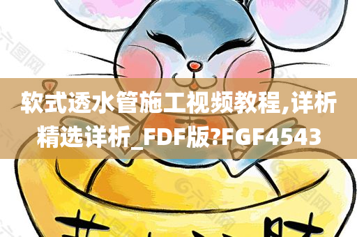 软式透水管施工视频教程,详析精选详析_FDF版?FGF4543