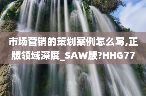 市场营销的策划案例怎么写,正版领域深度_SAW版?HHG77