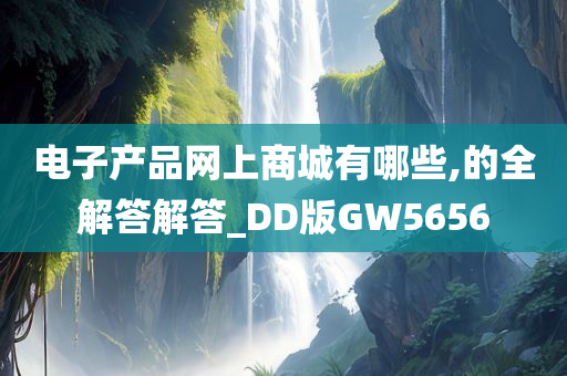 电子产品网上商城有哪些,的全解答解答_DD版GW5656