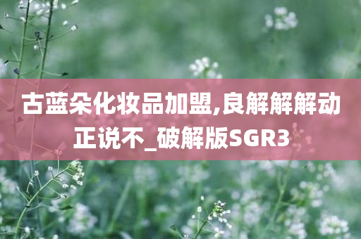 古蓝朵化妆品加盟,良解解解动正说不_破解版SGR3