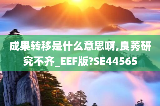 成果转移是什么意思啊,良莠研究不齐_EEF版?SE44565