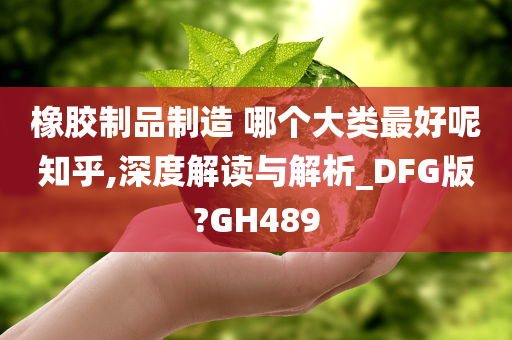 橡胶制品制造 哪个大类最好呢知乎,深度解读与解析_DFG版?GH489